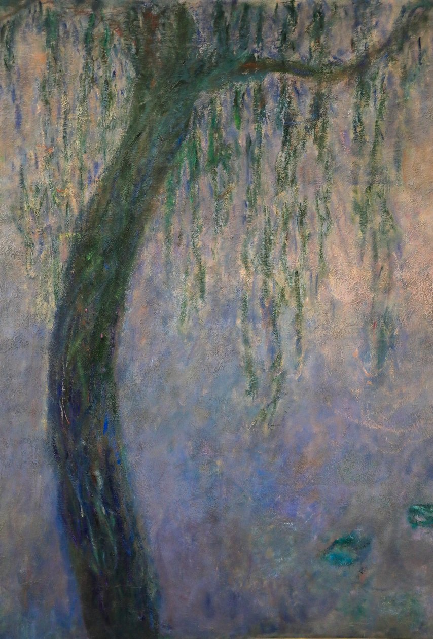Tavirózsa (olaj, vászon) alkotó: Claude Monet