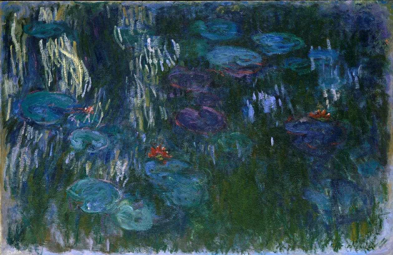 Tavirózsa, 1916-19 alkotó: Claude Monet
