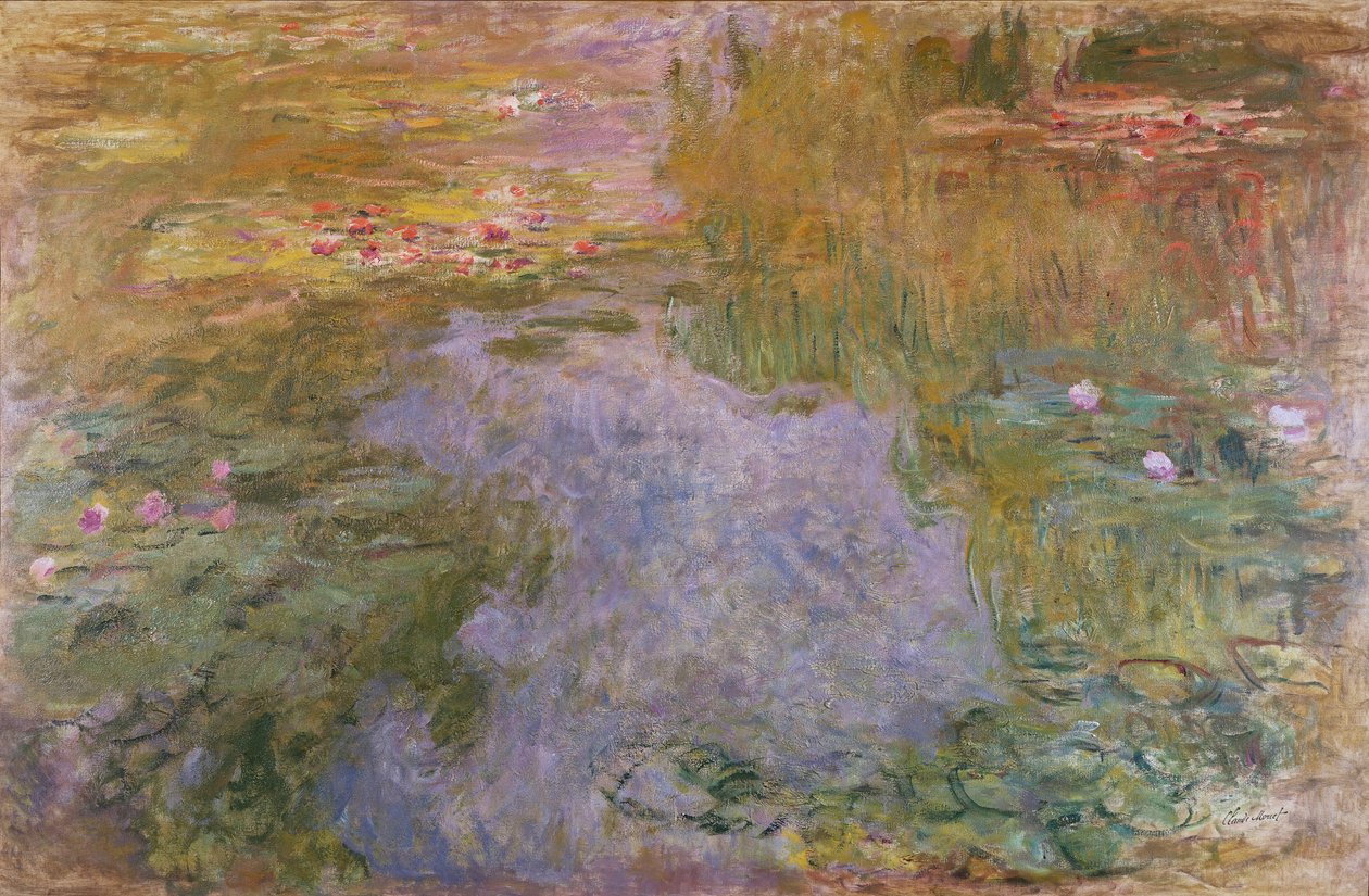 Tavirózsa, 1919 alkotó: Claude Monet