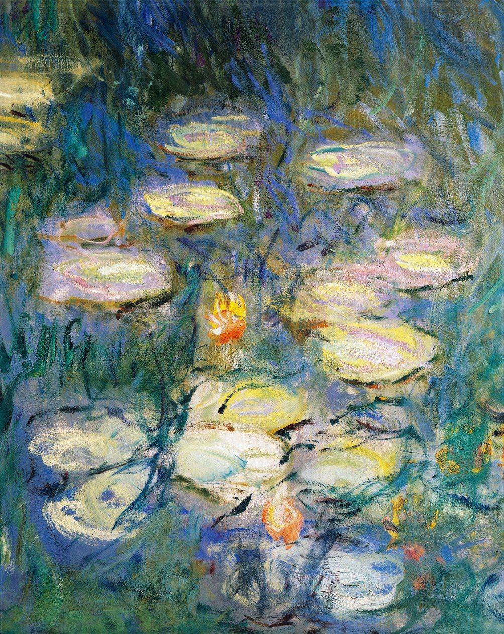 Tavirózsa, Claude Monet, részlet alkotó: Claude Monet