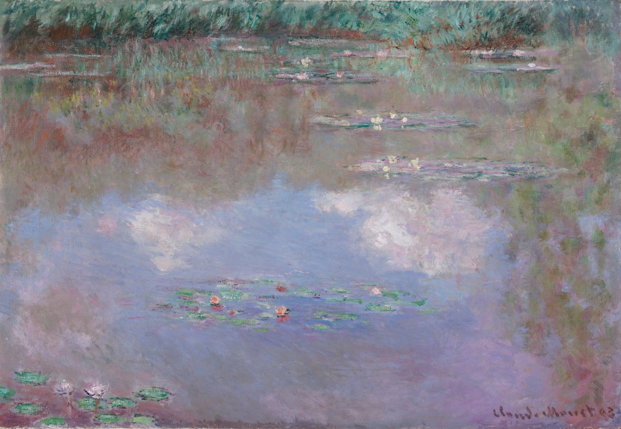 Tavirózsa, a felhő, 1903 alkotó: Claude Monet