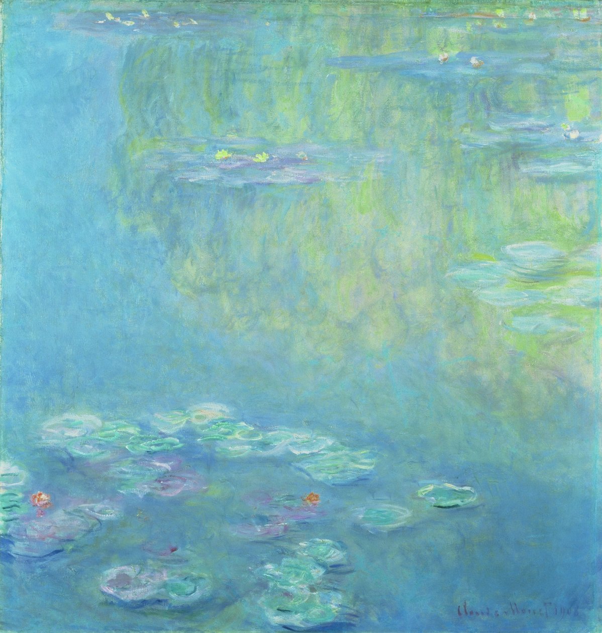 Tavirózsa, 1906 alkotó: Claude Monet
