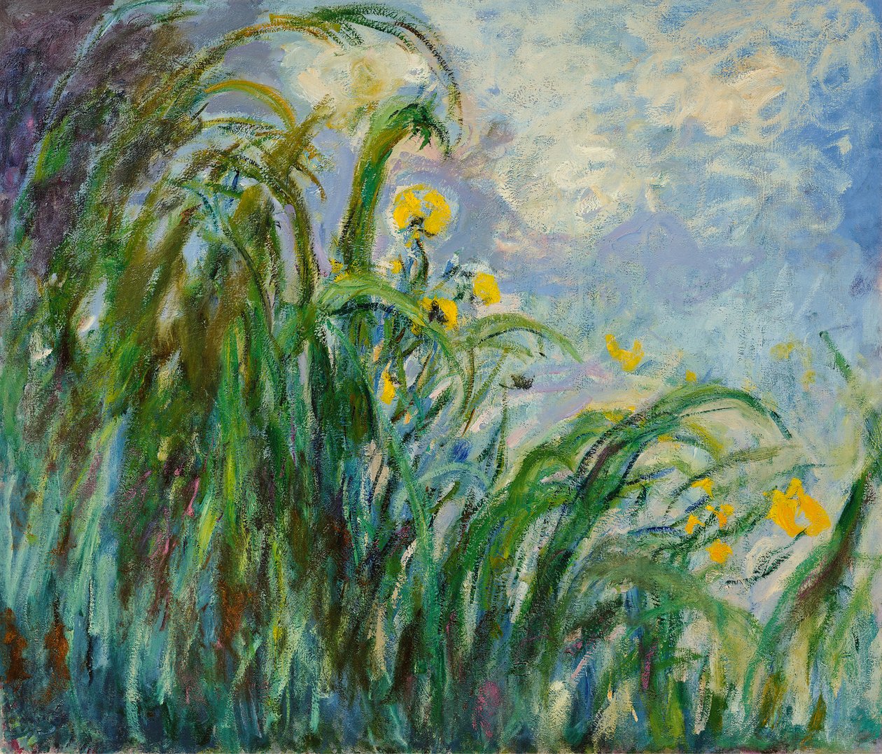 Sárga íriszek, c. 1925. alkotó: Claude Monet