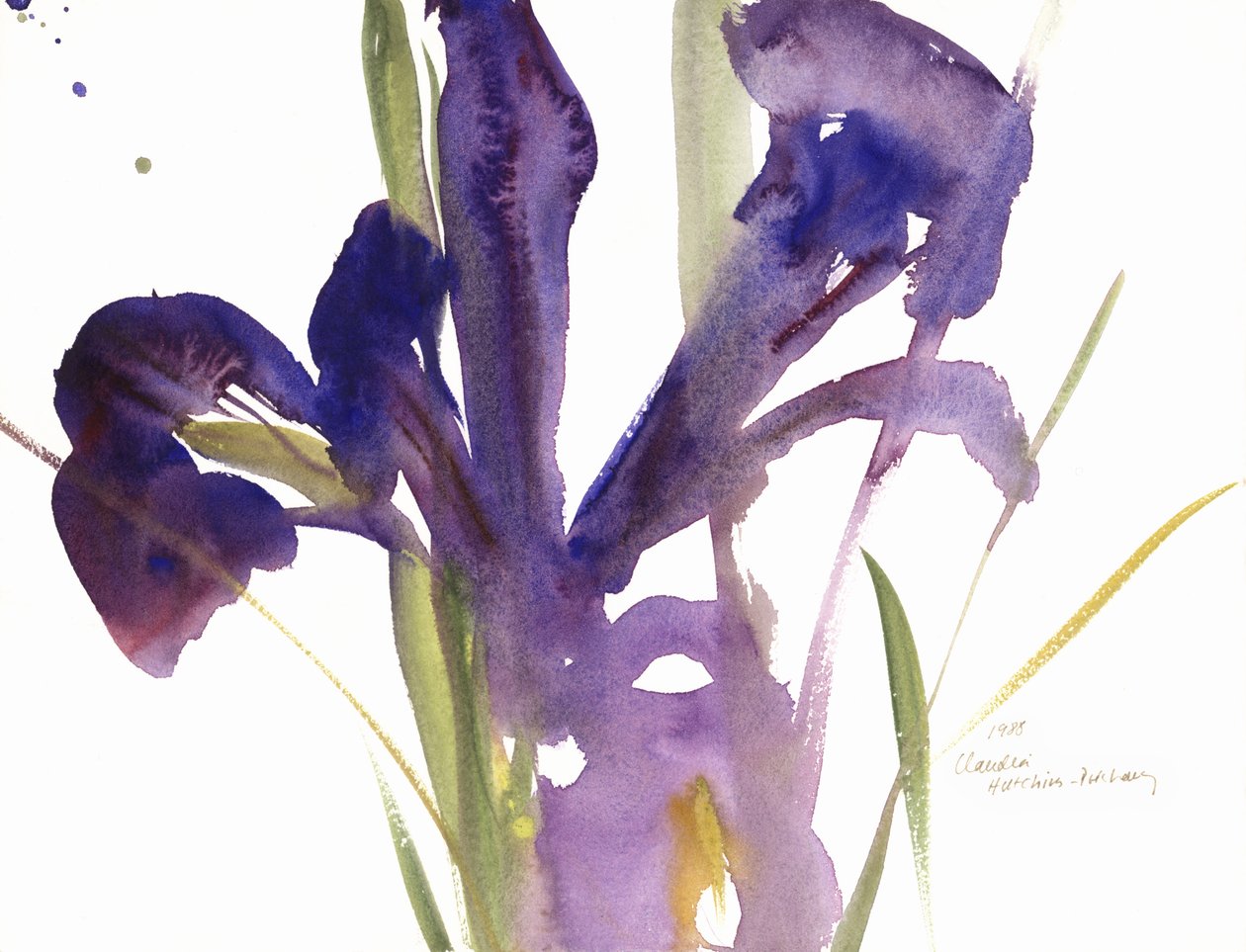 Iris, 1987 alkotó: Claudia Hutchins Puechavy