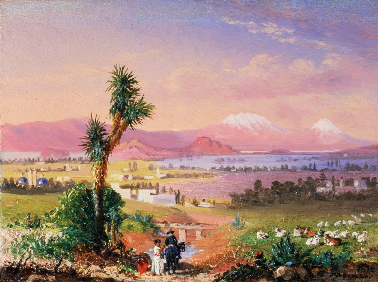Kilátás Mexikóvárosra alkotó: Conrad Wise Chapman