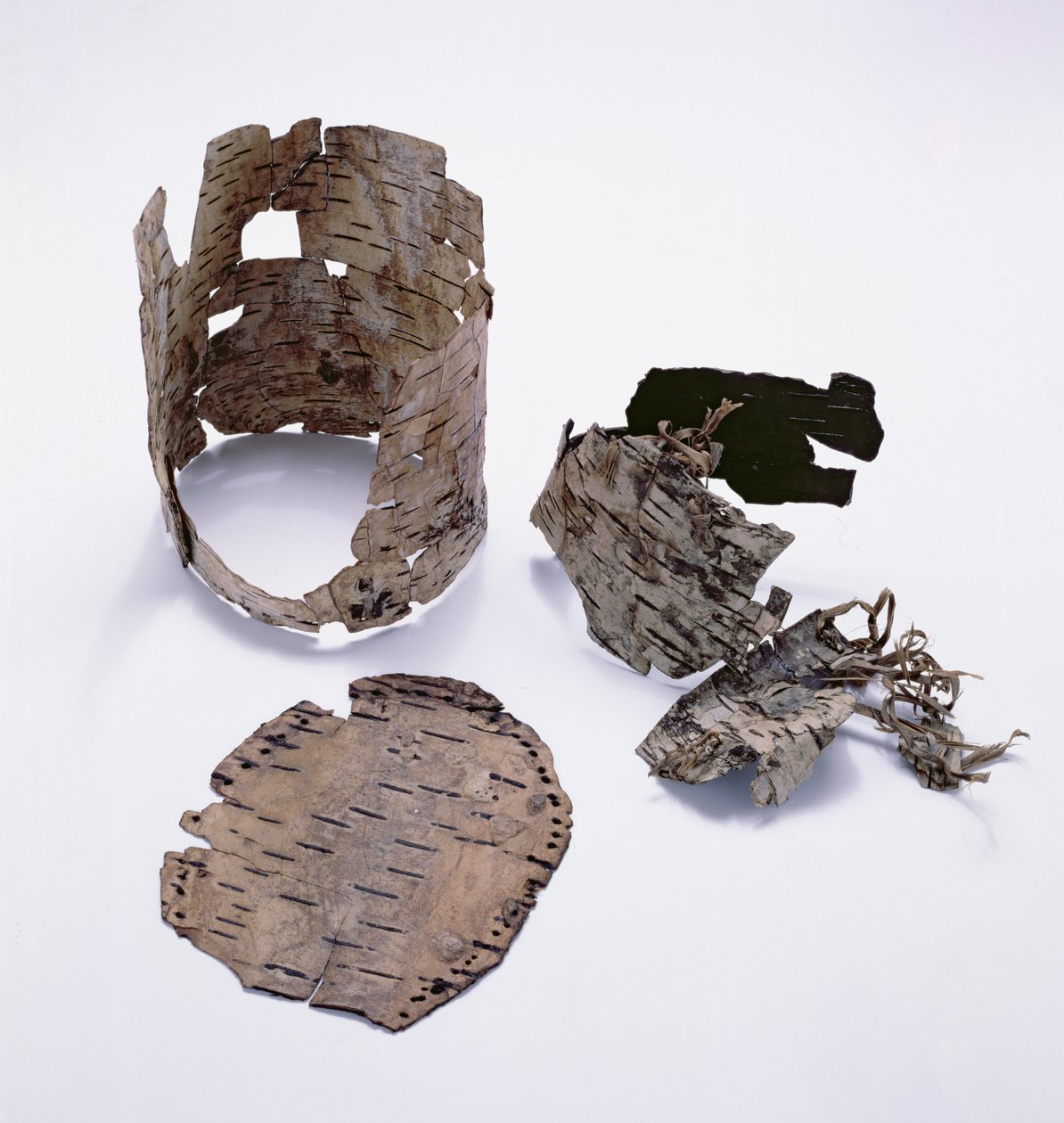 Nyírfa kéreg tartályt találtak az Oetzi Icemanrel (nyírfa) alkotó: Copper Age