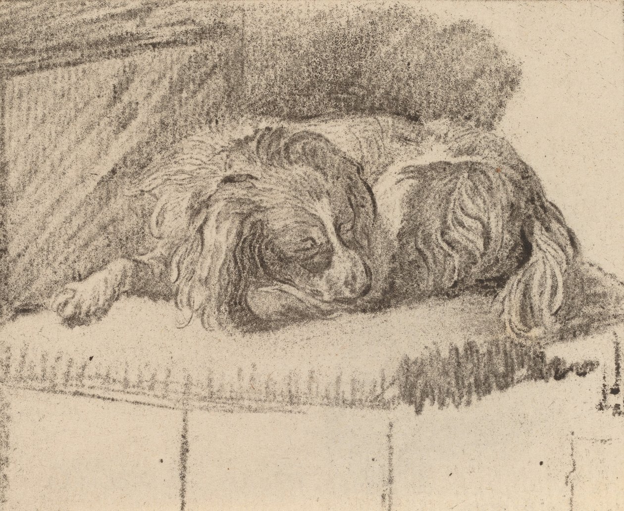 Fekvő kutya, 1777. alkotó: Cornelis Brouwer