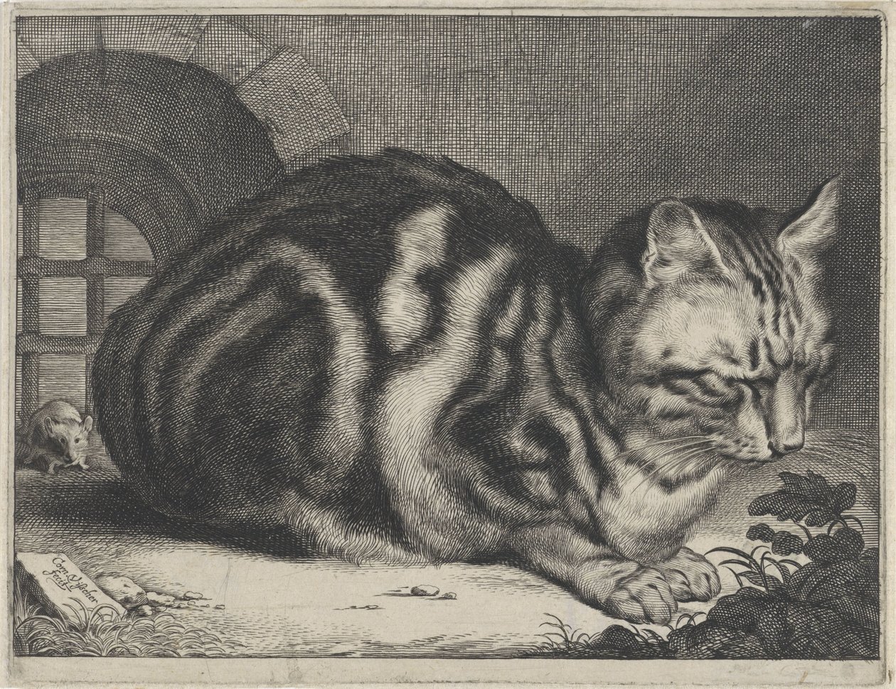 A nagy macska alkotó: Cornelis Visscher (II)