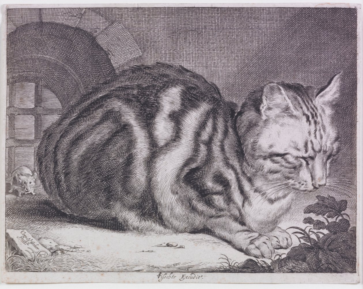 A nagy macska alkotó: Cornelis de Visscher