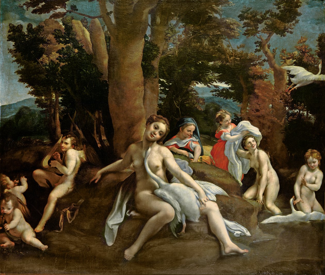 Léda és a hattyú alkotó: Antonio da Correggio