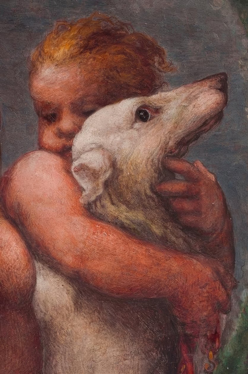 Parma, Camera di San Paolo, Putto alkotó: Antonio da Correggio