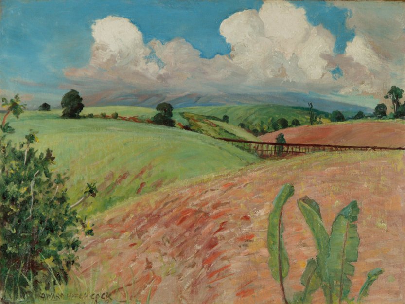 Canefields, Big Island alkotó: D. Howard Hitchcock