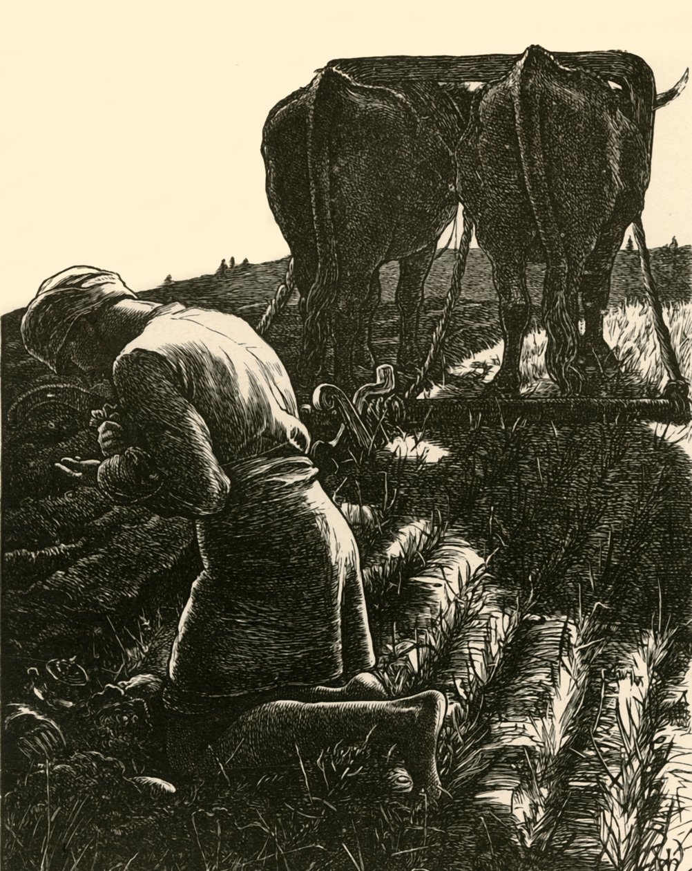 A rejtett kincs, 1864, 1928. alkotó: Dalziel Brothers