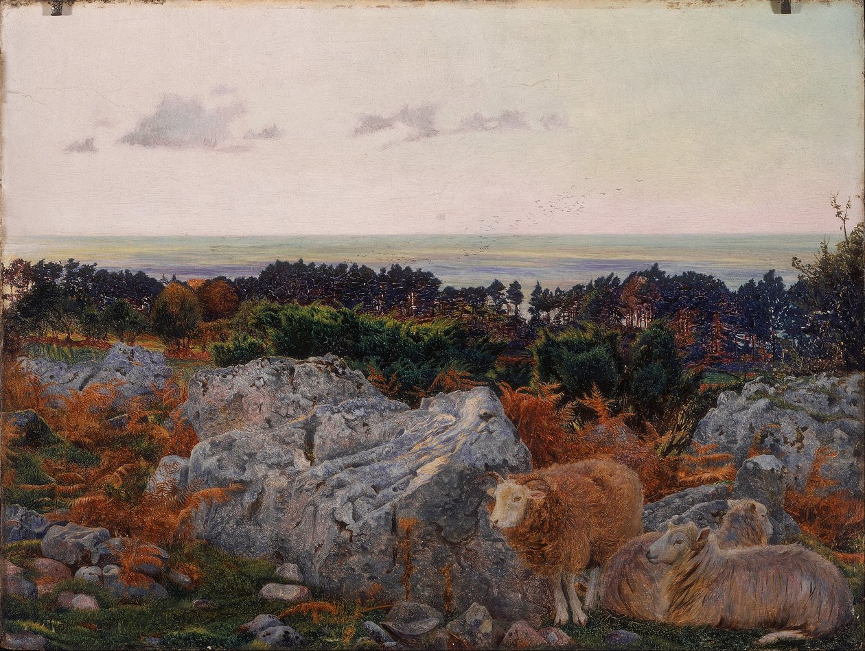 Morecambe -öböl a Warton Crag -tól alkotó: Daniel Alexander Williamson
