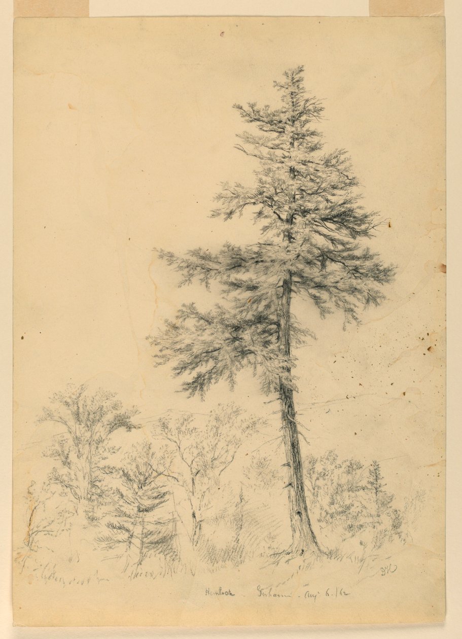 Hemlock, Gorham, New Hampshire tanulmánya alkotó: Daniel Huntington