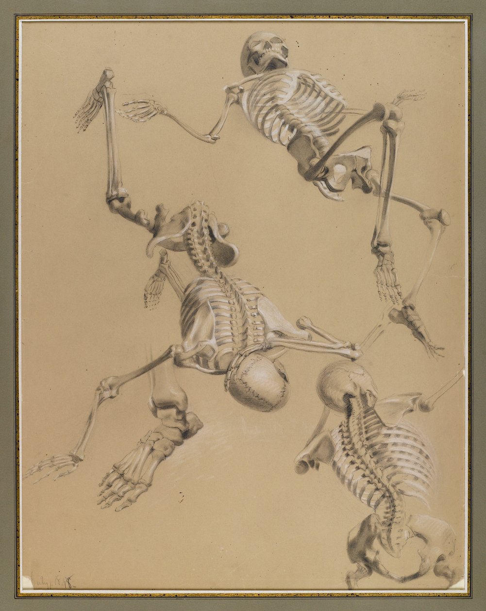 Csontváztanulmány, 1848 (kréta papíron) alkotó: Daniel Huntington