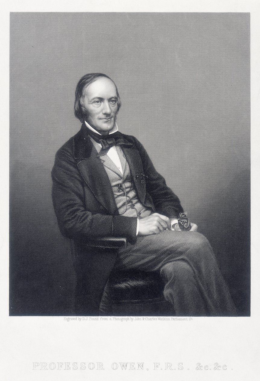 Sir Richard Owen, angol zoológus, 1860. alkotó: Daniel John Pound
