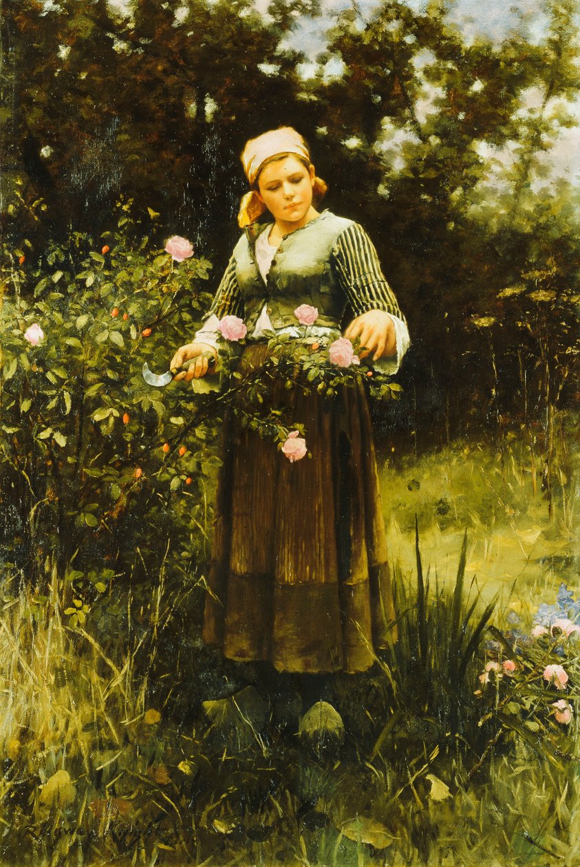 Rózsák gyűjtése, alkotó: Daniel Ridgway Knight