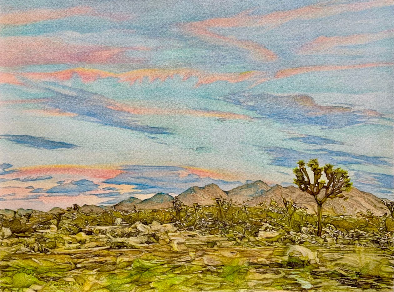The Joshua Tree, 2023 (ceruza, papír) alkotó: Darrell Windjack