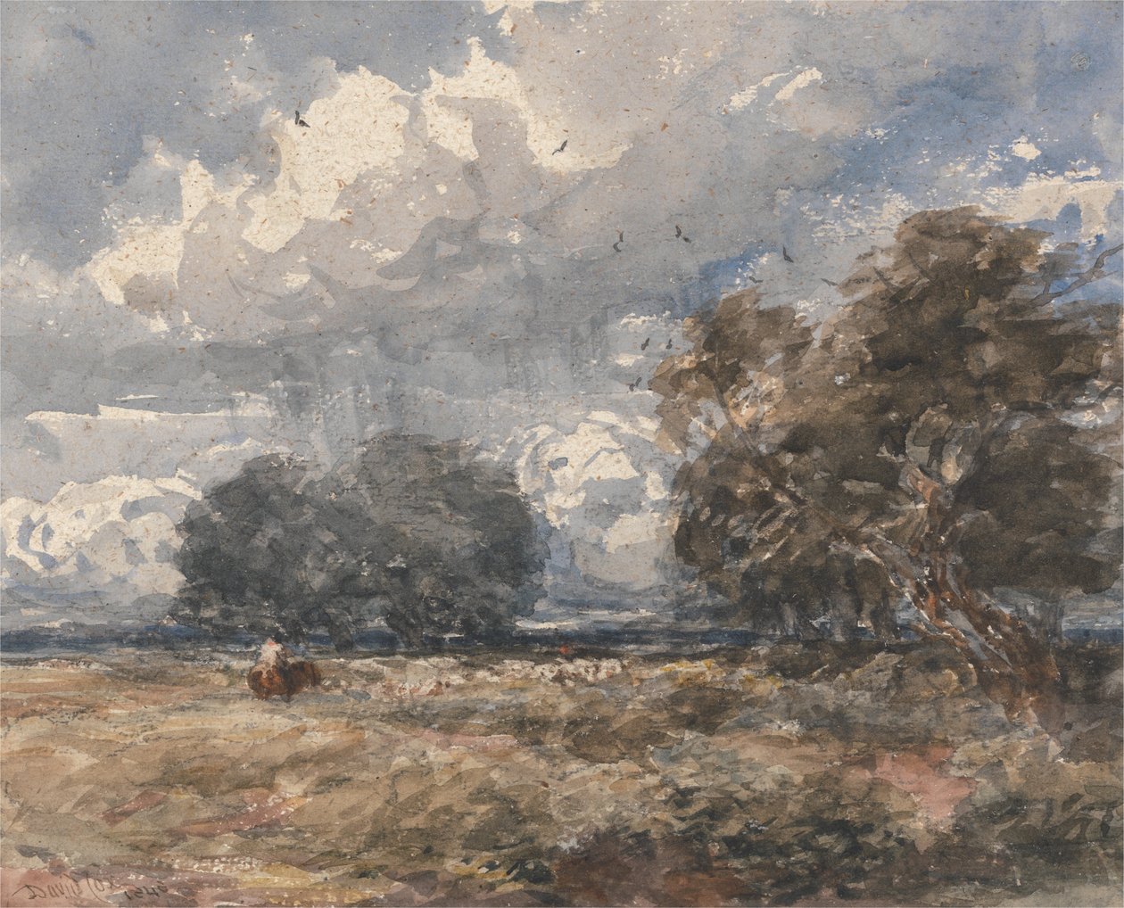 A nyáj legeltetése, szeles nap alkotó: David Cox