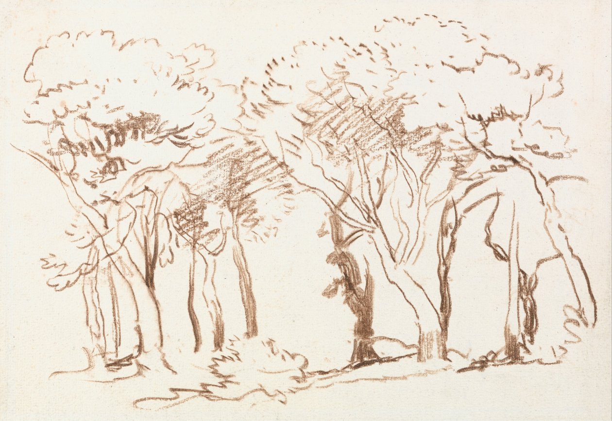 Fák tanulmányozása alkotó: David Cox