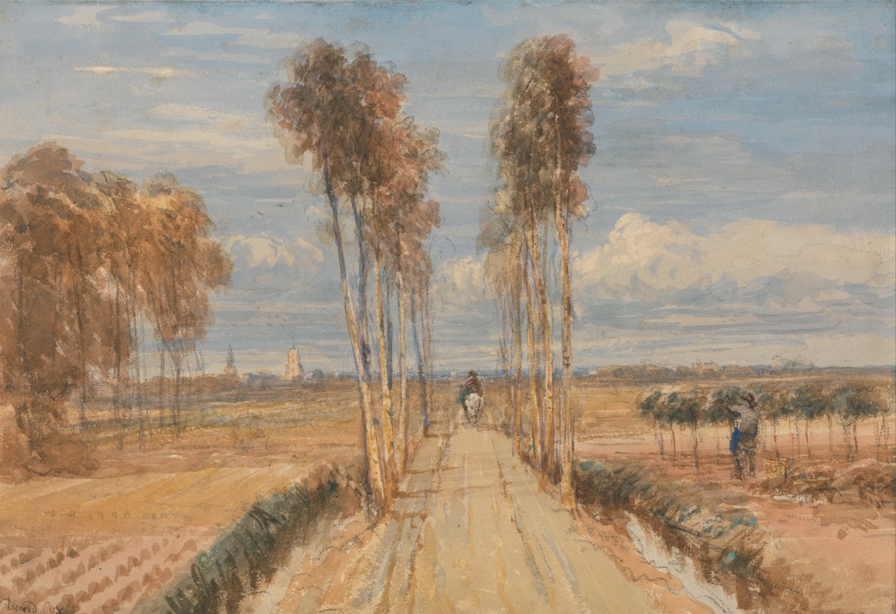 A nyárfa sugárút, Hobbema után alkotó: David Cox