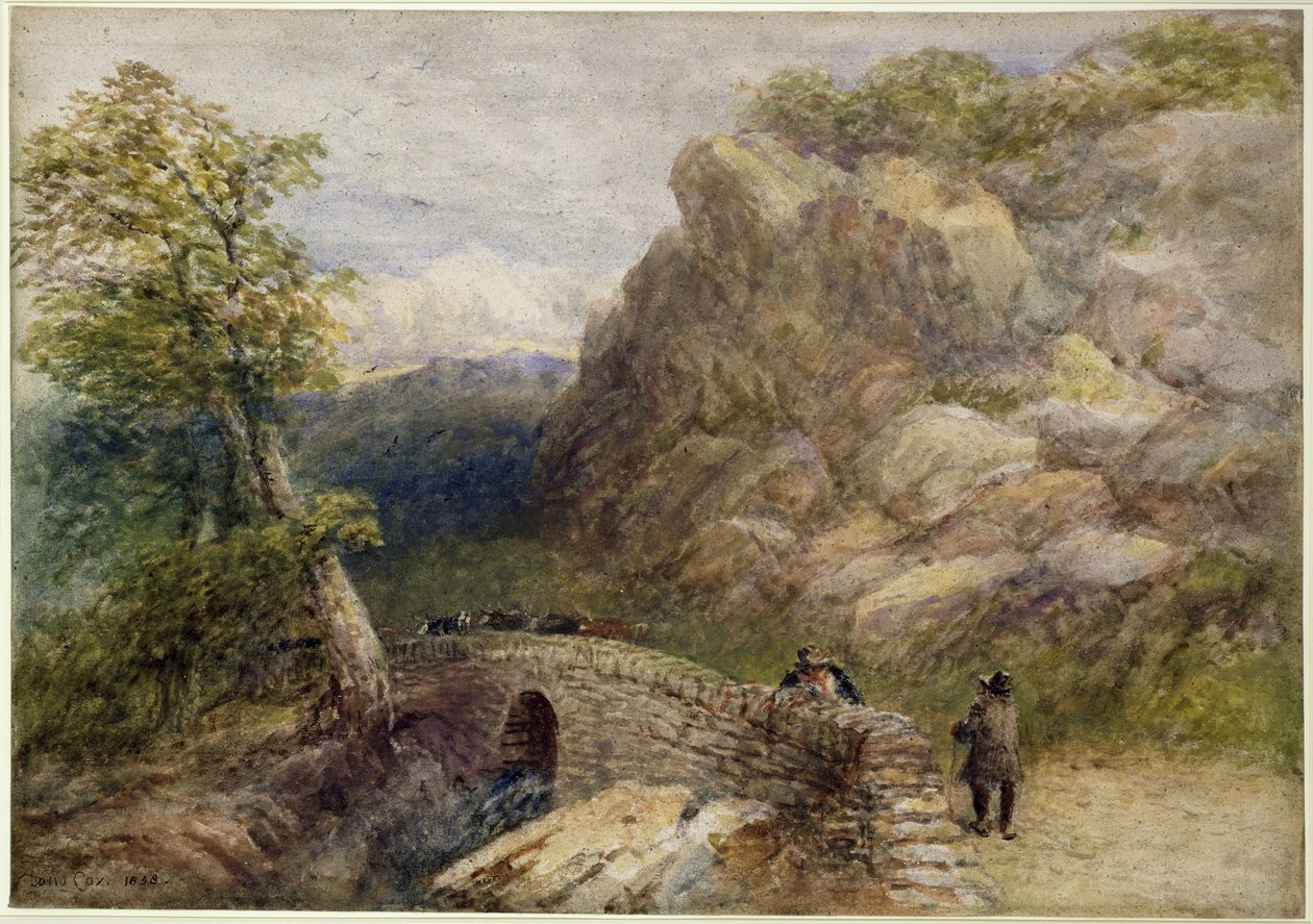 Kilátás Észak-Walesben, 1858 alkotó: David Cox