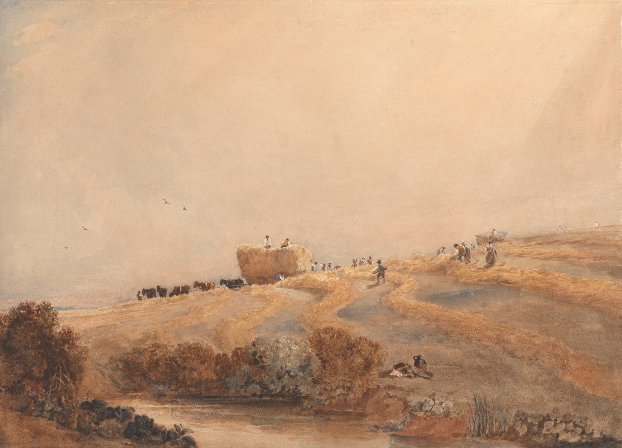 Széna kaszálása alkotó: David Cox