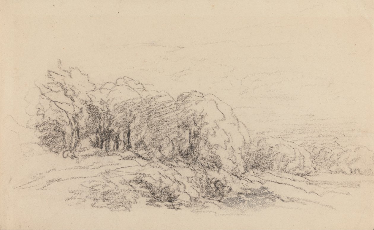 Táj a fákkal alkotó: David Cox