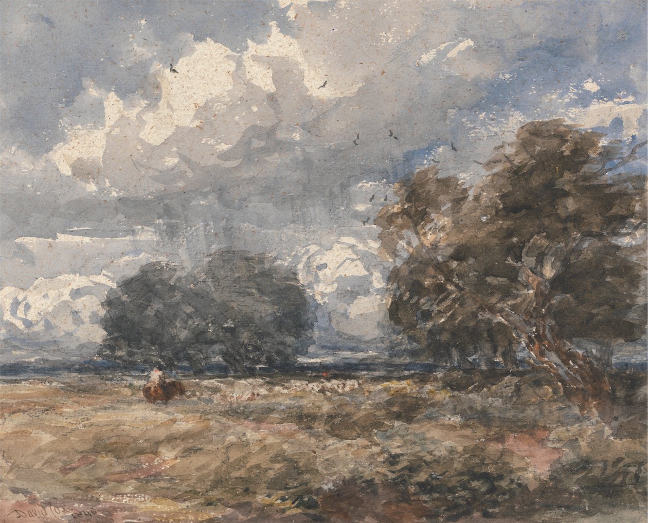 Pásztor a nyáj, szeles nap alkotó: David Cox