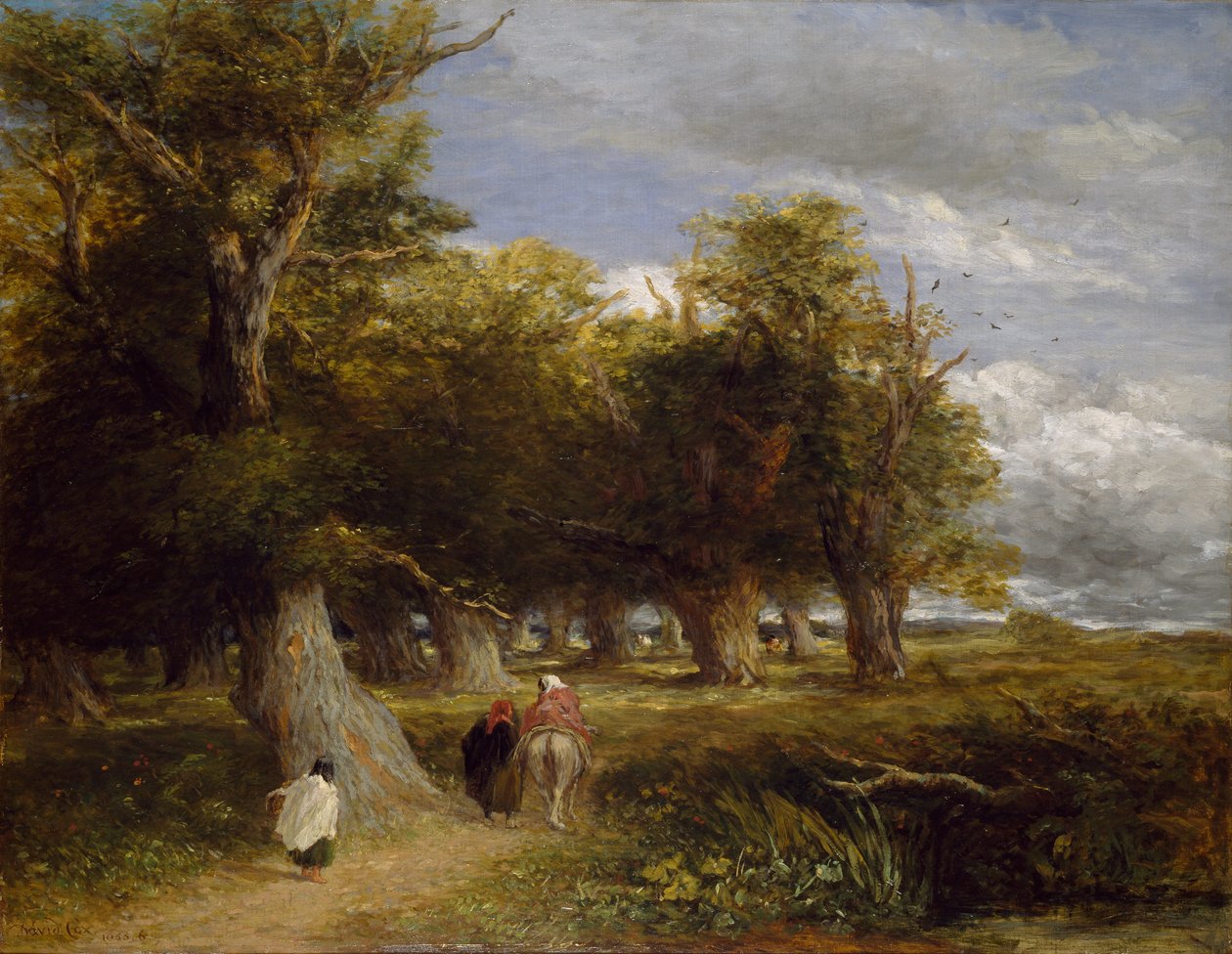 Az erdő szoknyái, 1855 alkotó: David Cox