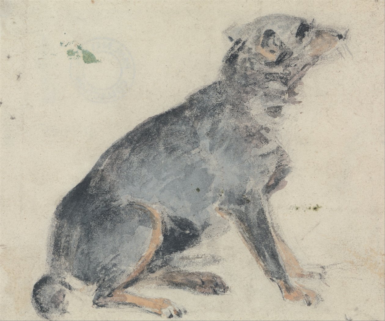 Tanulmány egy kutyáról alkotó: David Cox