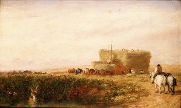 A Hayfield alkotó: David Cox
