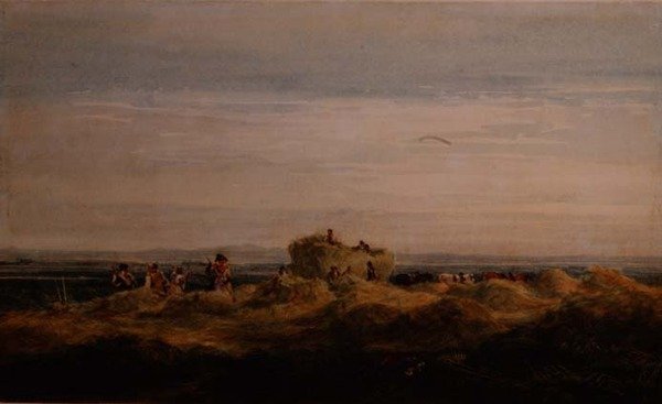 A Hayfield alkotó: David Cox