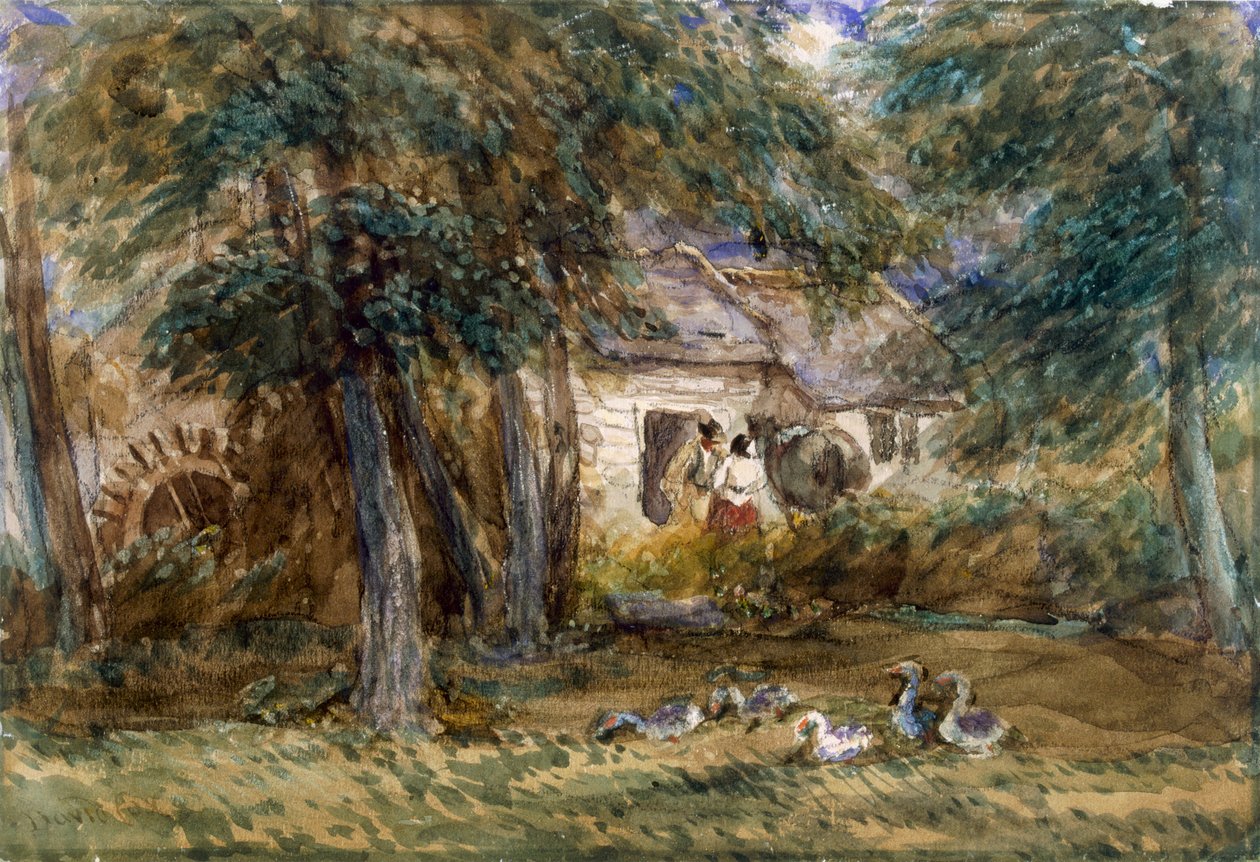 Vízimalom alkotó: David Cox