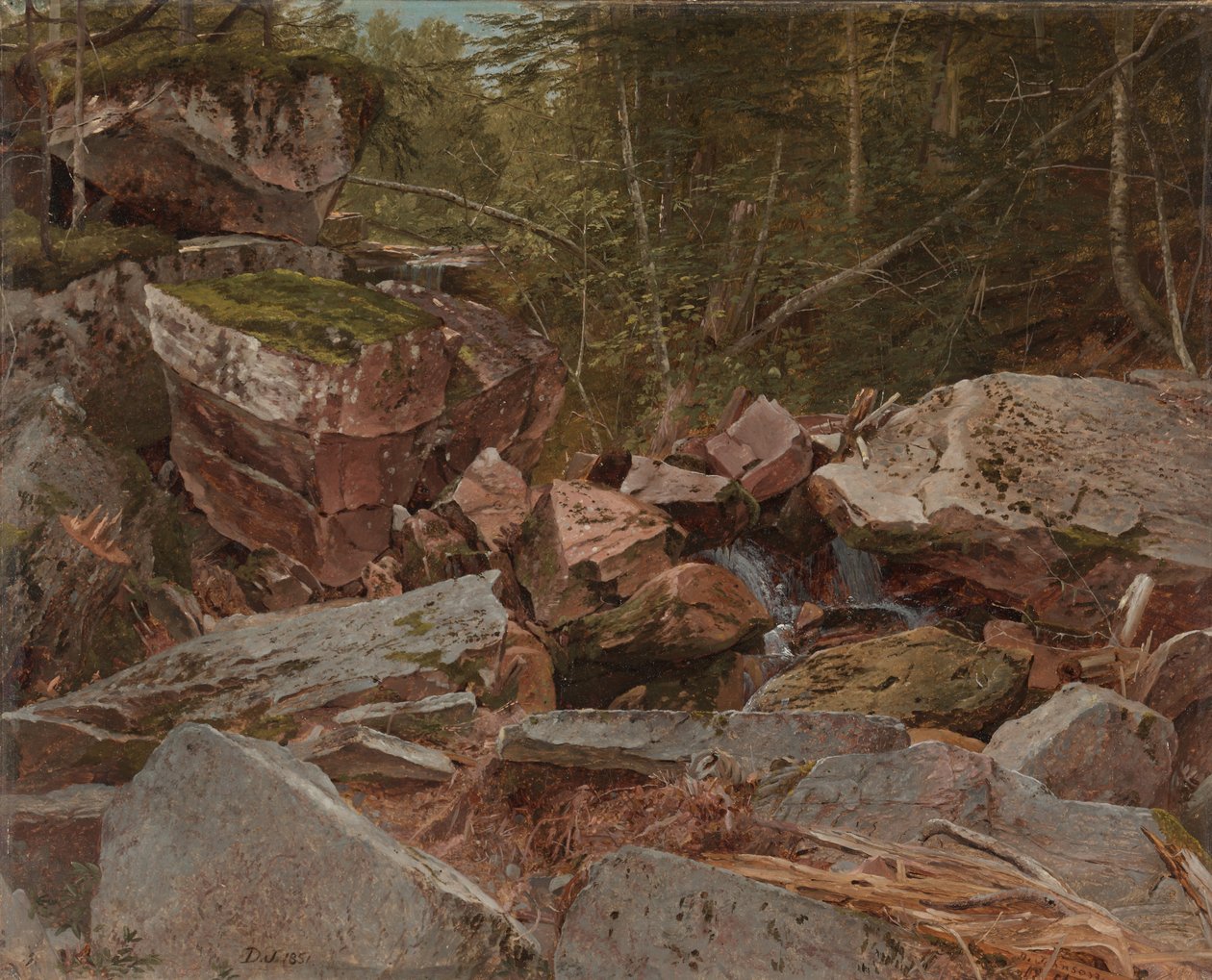 Study, North Conway, New Hampshire, 1851 alkotó: David Johnson