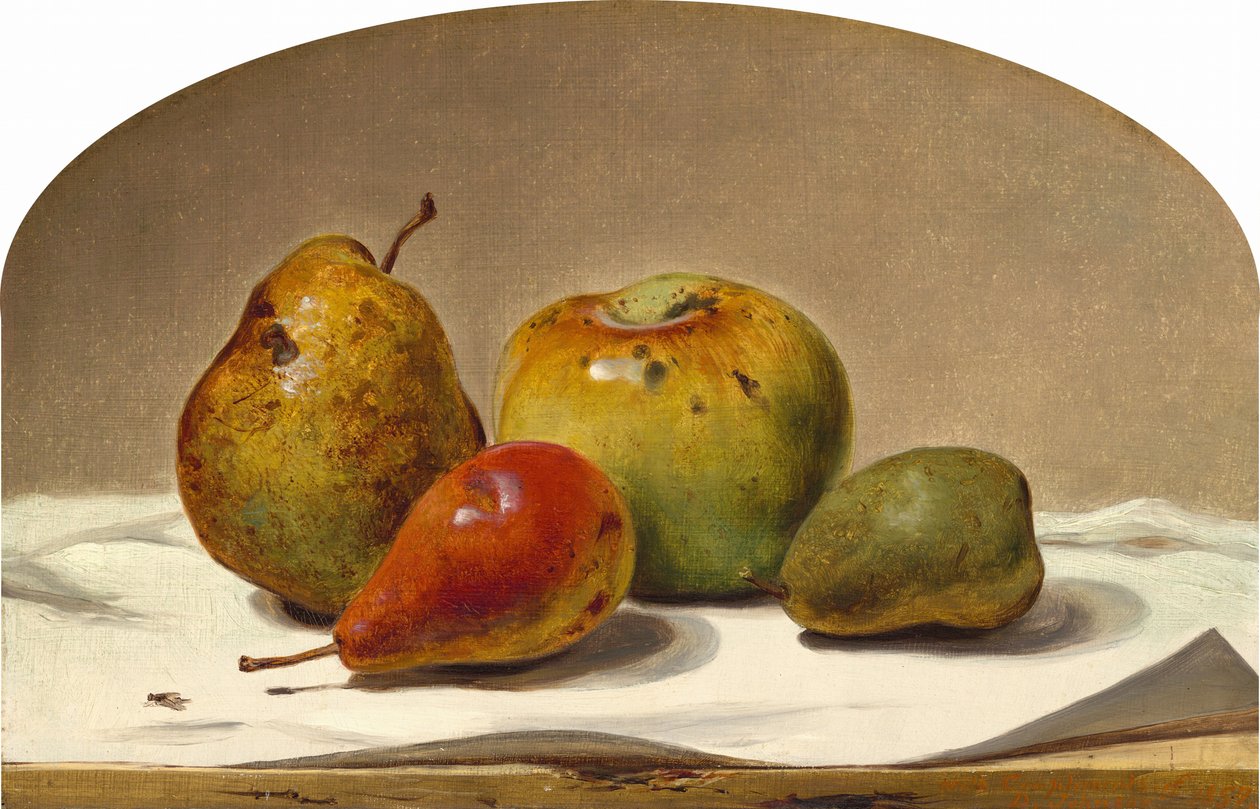 Három körte és egy alma, 1857. alkotó: David Johnson