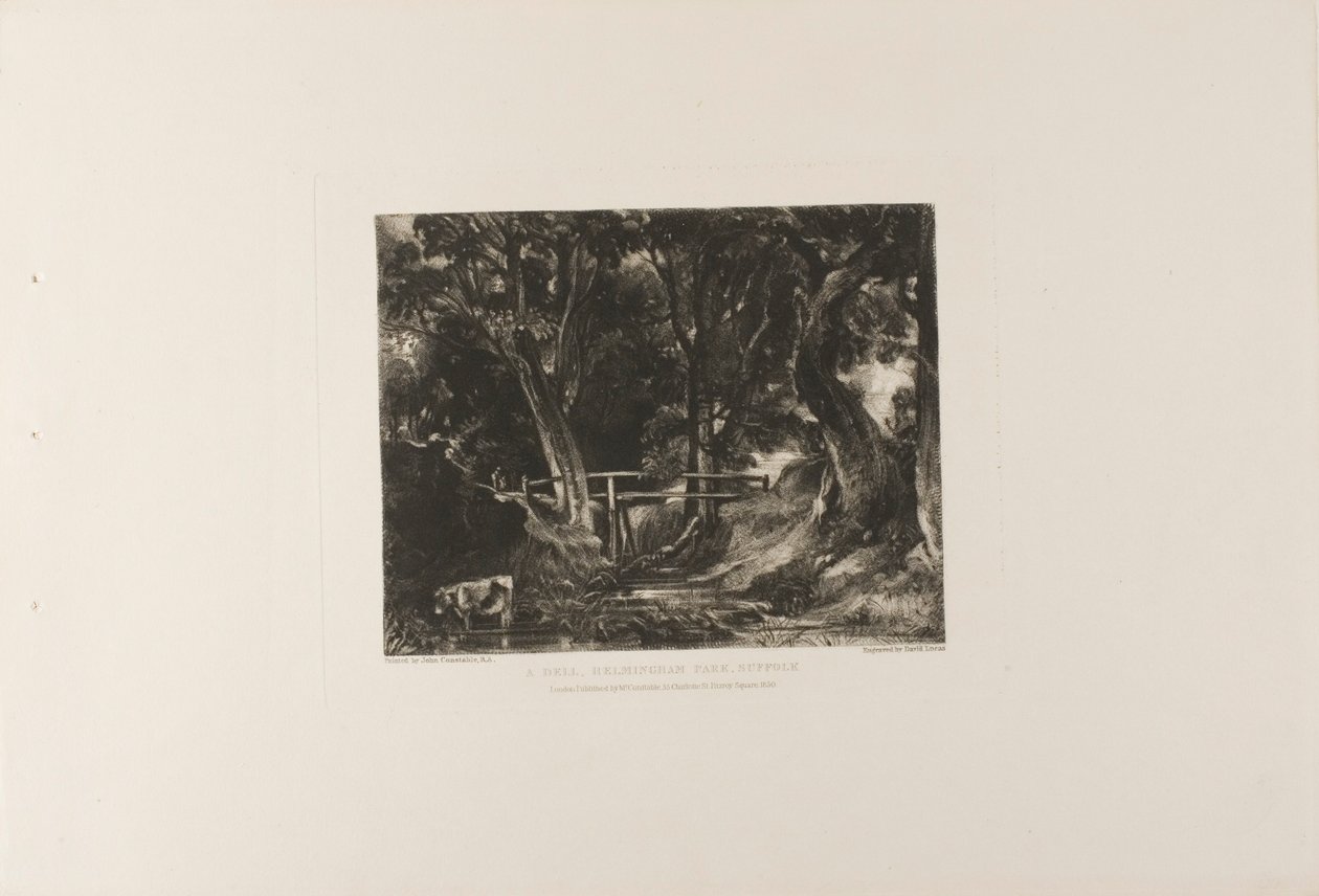 Egy Dell, Helmingham Park, Suffolk alkotó: David Lucas