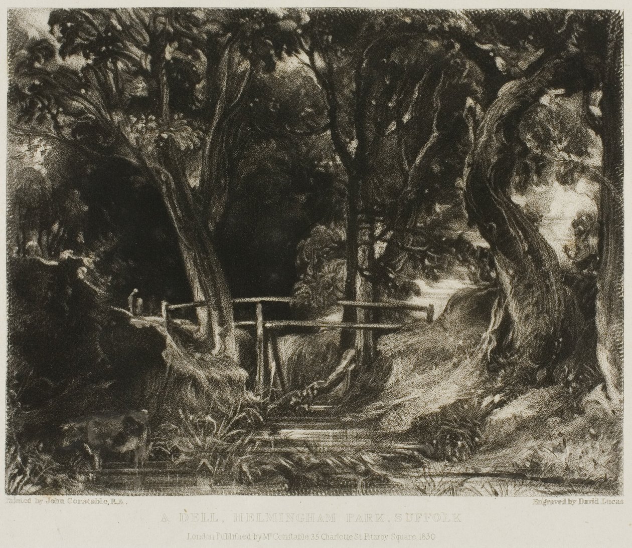 Egy Dell, Helmingham Park, Suffolk alkotó: David Lucas