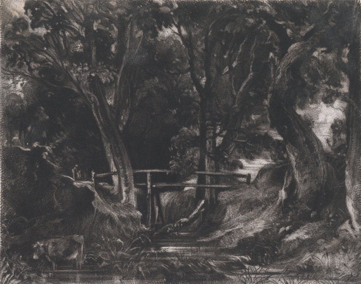 A Dell, Helmingham Park, Suffolk, 1830. alkotó: David Lucas