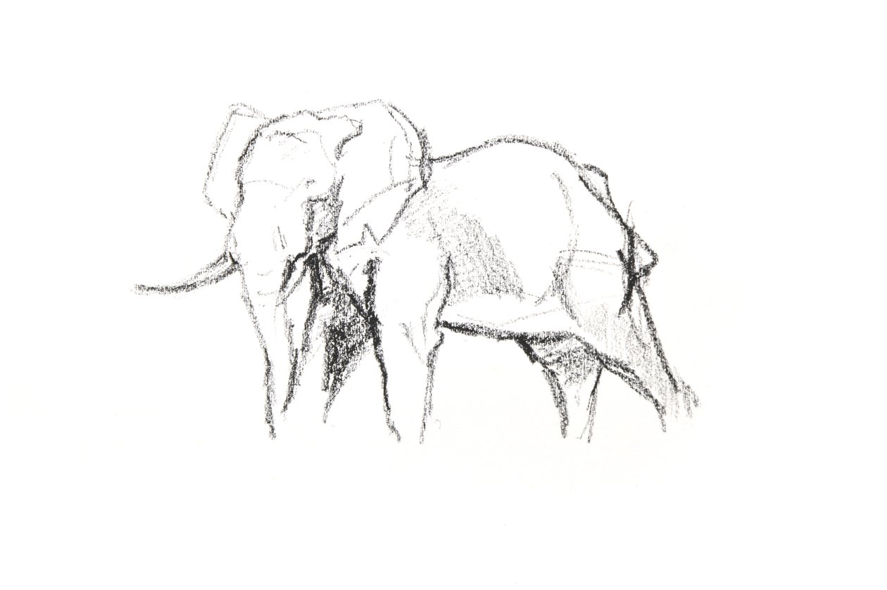 Bull Elephant, 2021 (kréta papíron) alkotó: David Mayer