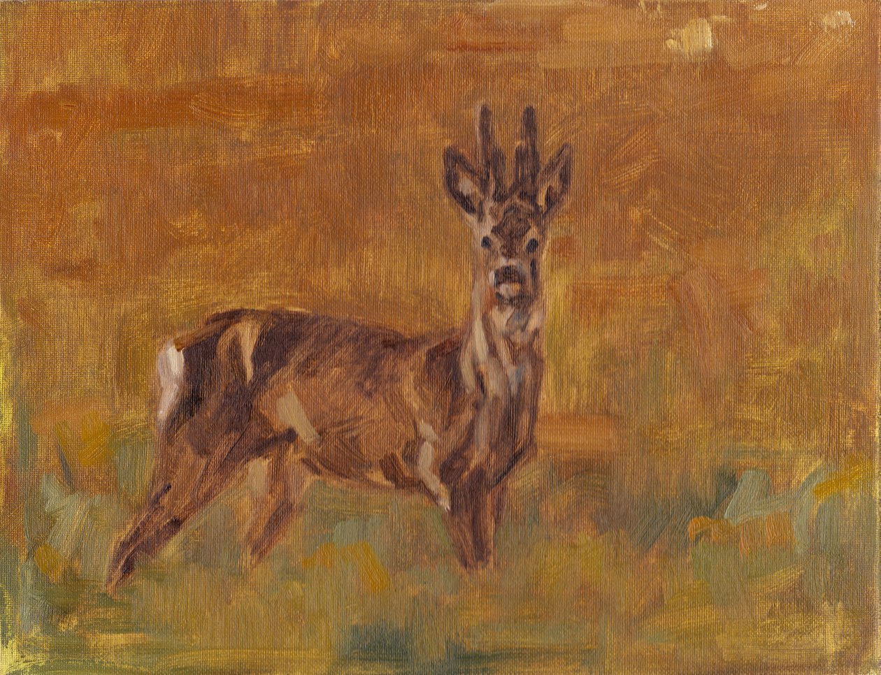 Roe Buck, 2021 alkotó: David Mayer