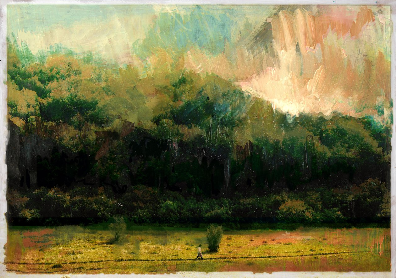 Oakridge Woods 2015 alkotó: David McConochie