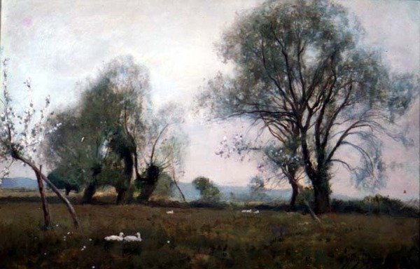 Lent a vízi réteken alkotó: David Murray