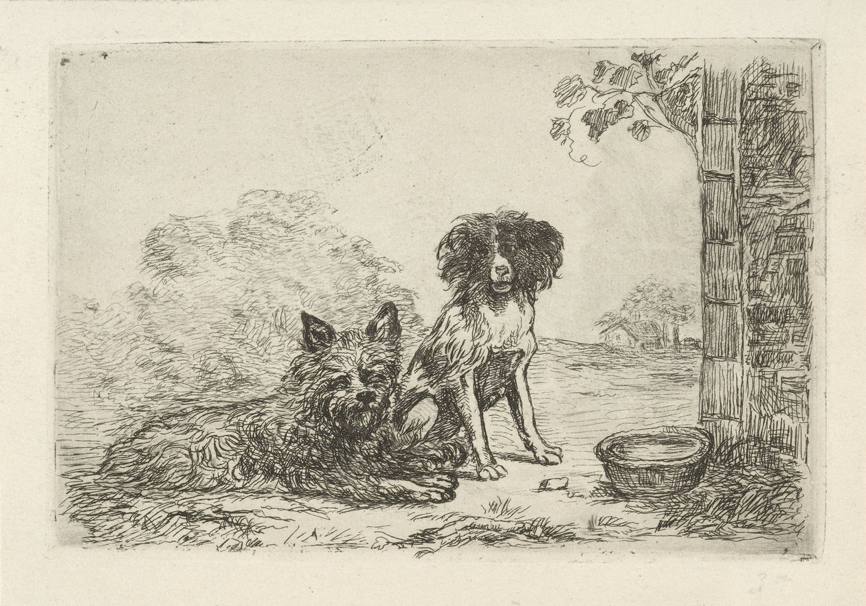 Két kutya alkotó: David van der Kellen