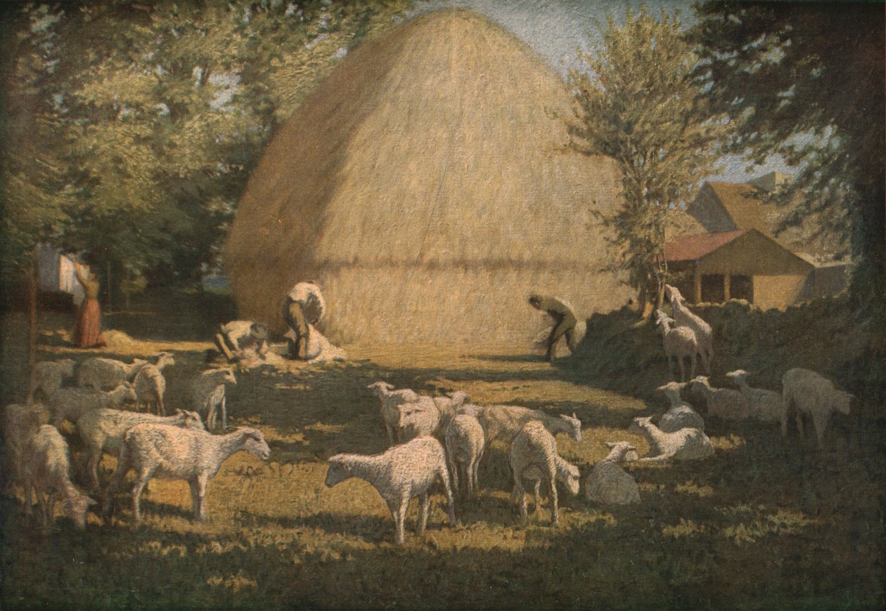 „Juhnyírás”, 1901, 1930. alkotó: Dermod O