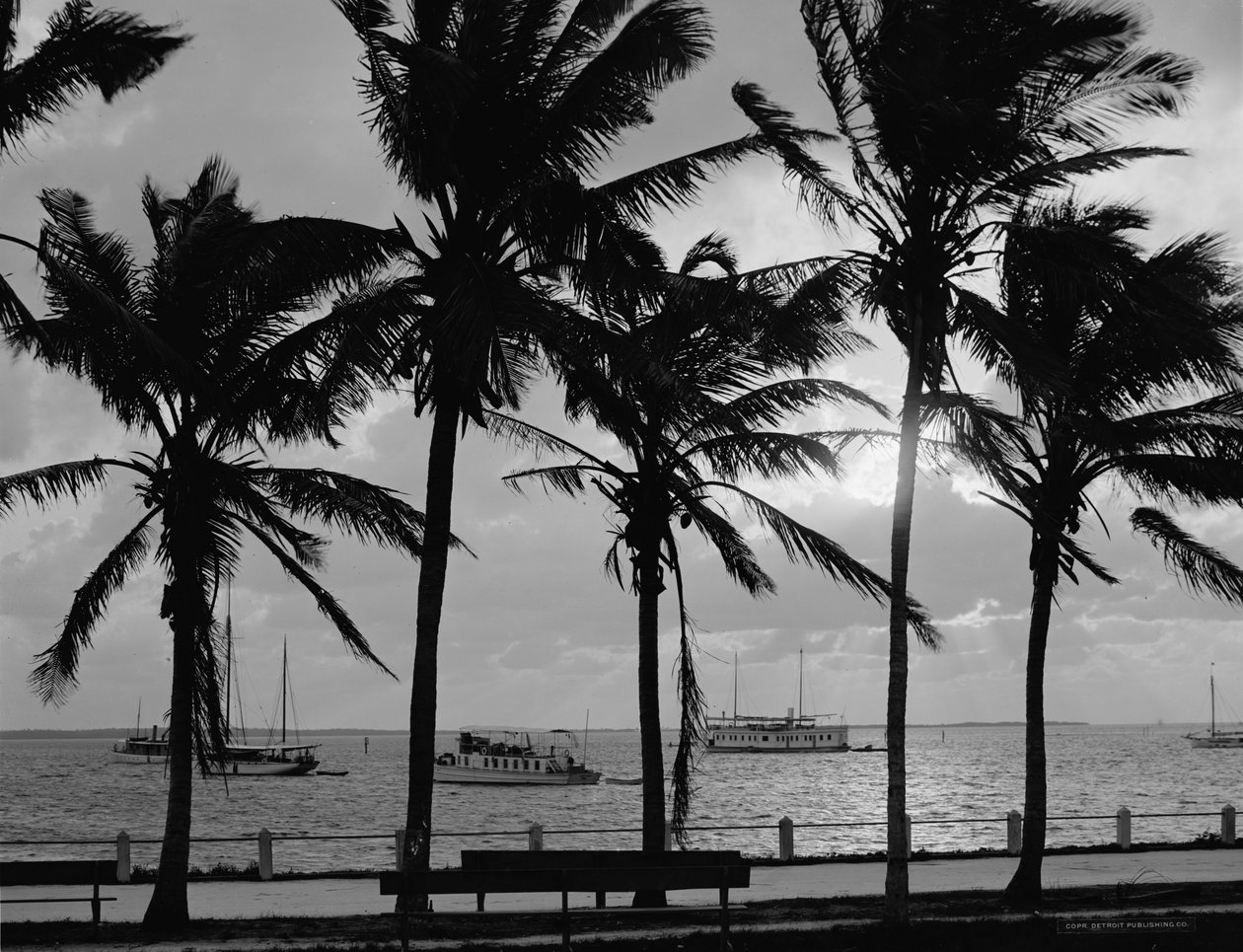 Naplemente, Biscayne Bay, Miami, Florida, 1910-20 körül alkotó: Detroit Publishing Co.