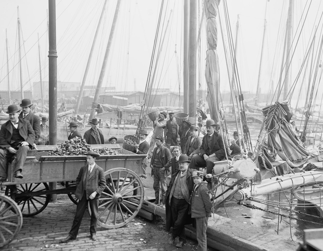 Osztrigatartók kirakodása, Baltimore, Maryland, 1905 alkotó: Detroit Publishing Co.
