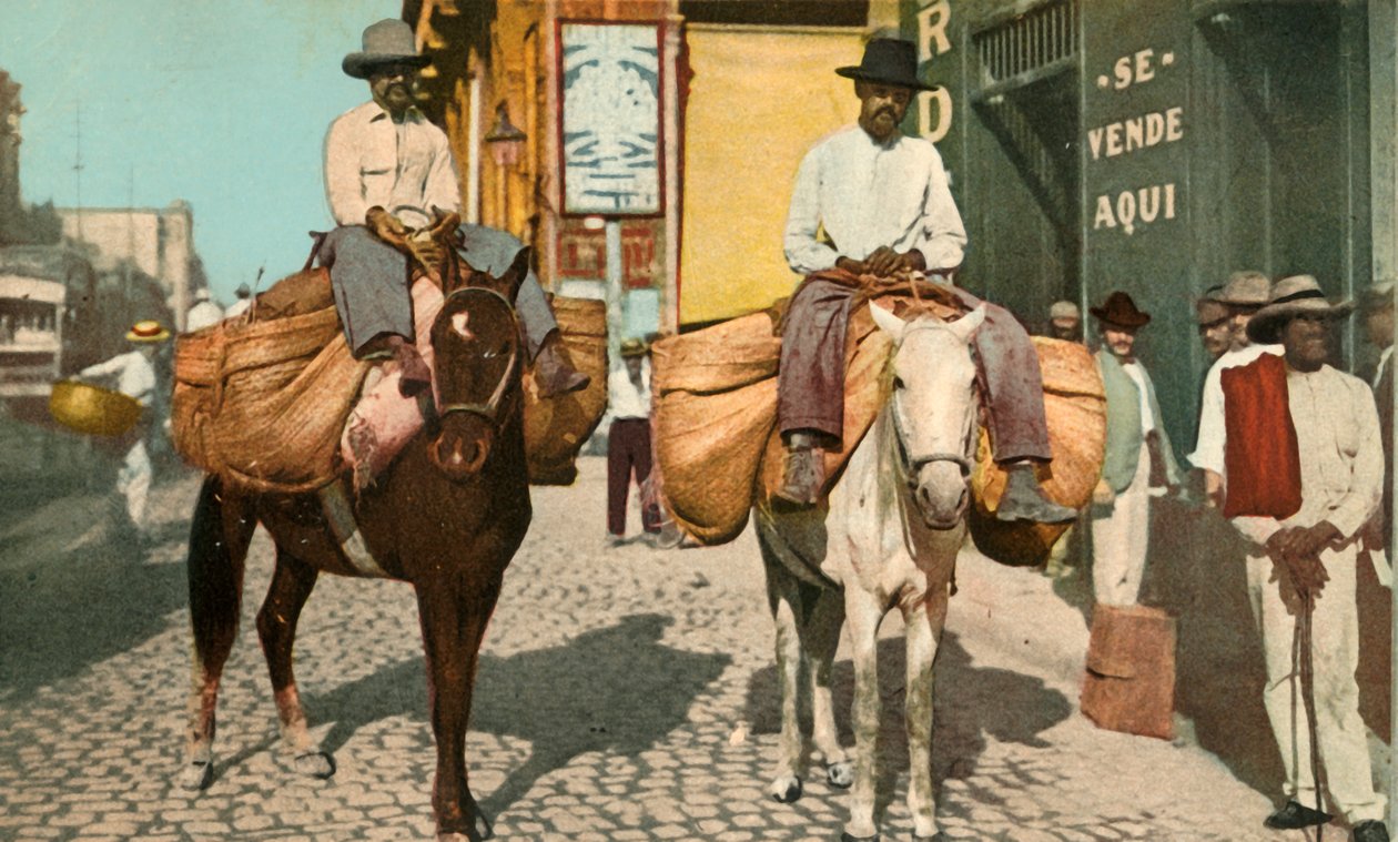 Vegetable Men, Havanna, Kuba, 1904. alkotó: Detroit Photographic Company