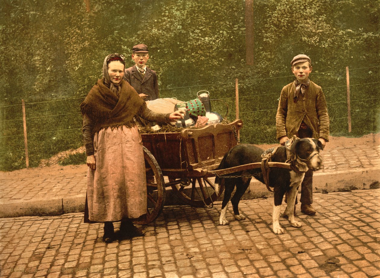 Milk Sellers, Brüsszel, Belgium, 1900 körül alkotó: Detroit Publishing Co.